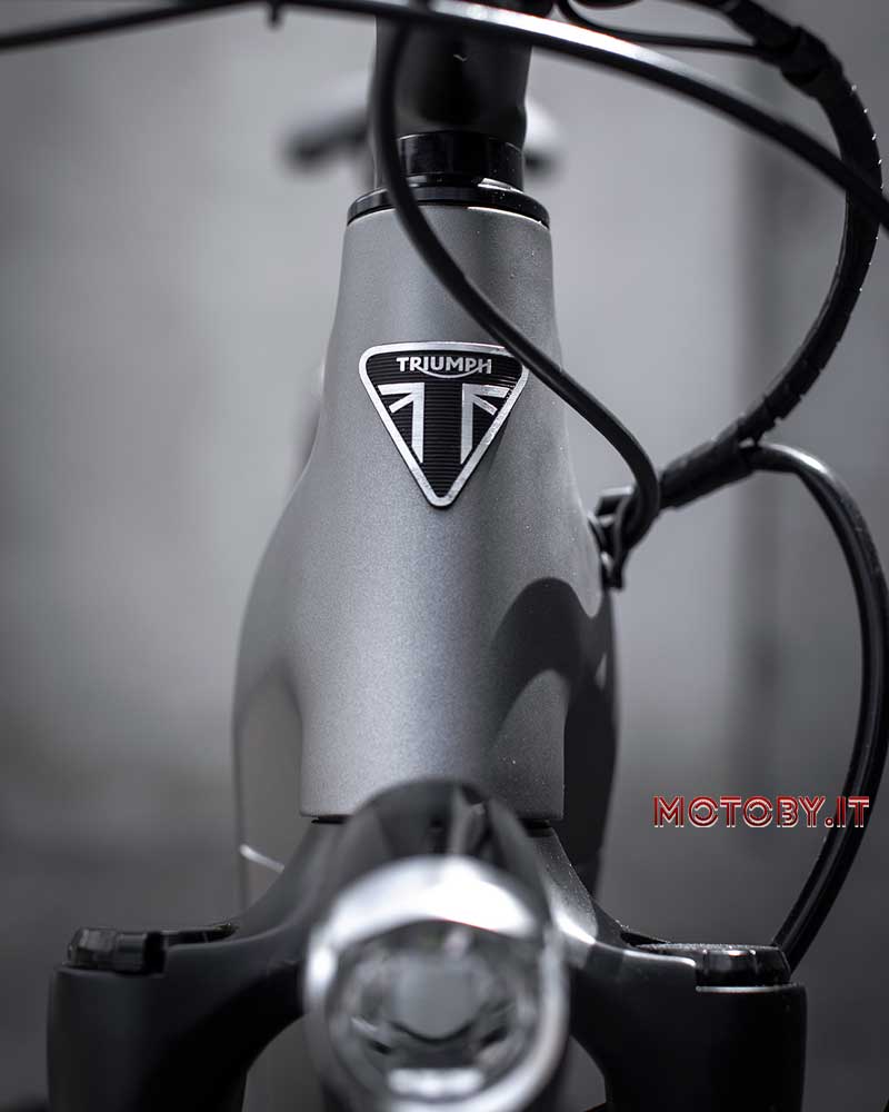 E-Bike Triumph Trekker GT