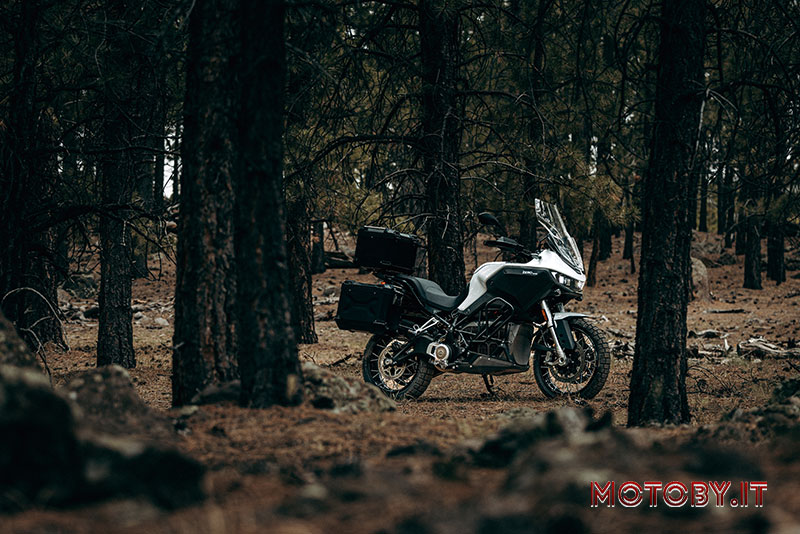 Zero Motorcycles nel bosco